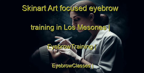 Skinart Art-focused eyebrow training in Los Mesones | EyebrowTraining | EyebrowClasses | SkinartTraining-Mexico